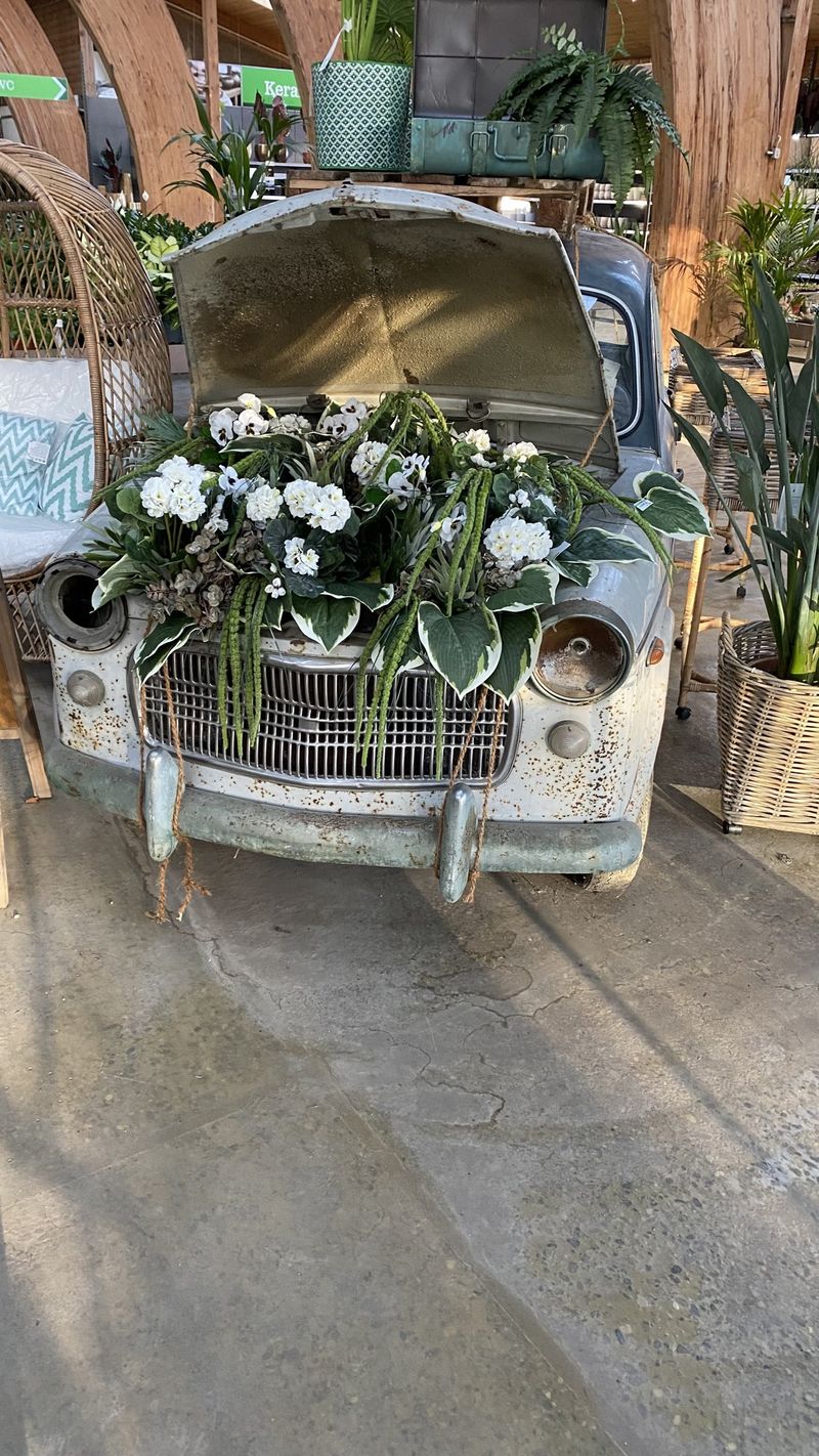 Classic car turned flower bed – Tulln – 2