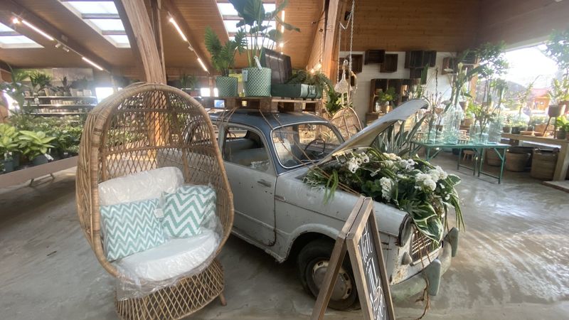 Classic car turned flower bed – Tulln
