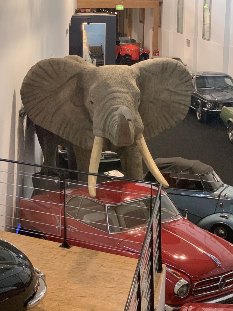 Koller classic car collection – Kleinwetzdorf – 4