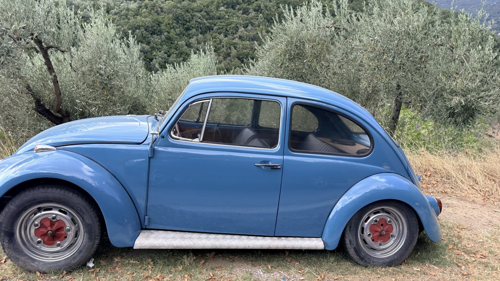 VW Beetle – Pelion