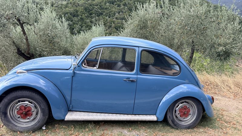VW Beetle – Pelion